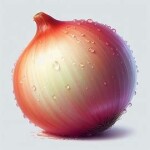 Onion