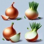 Onion