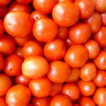 Tomato